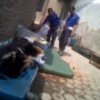 IMG00623-20120509-1136